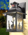 Motion Sensor Outdoor Wall Light Dusk To Dawn Porch Mount .... Fixed Price $102.49.