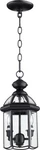 Quorum Dome Band Entry Chandelier Lighting Black 735-2-15. Fixed Price $65.00.