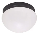 Nuvo Lighting 60/2645 10"W Outdoor Flush Mount Bowl - Multicolor. Fixed Price $52.99.