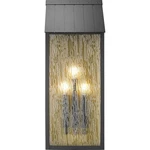 Artcraft Lighting AC8059BK Point Outdoor Wall Black And Brass. Fixed Price $448.92.