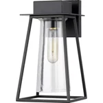 Progress Lighting P560216-031 Raineville Matte Black Outdoor Wall Lantern. Fixed Price $24.99.
