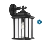 Sea Gull Lighting 84031-12 Black Wall Lantern. Fixed Price $75.00.