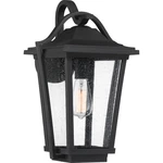 Quoizel DRS8411 Darius Light 18" Tall Outdoor Wall Sconce - Black. Fixed Price $319.99.