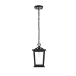 Elegant Lighting Berks Outdoor Pendant, Black - OD333H12BK. Fixed Price $94.00.
