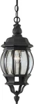 Forte Lighting 1702-01 Outdoor Pendant Black. Fixed Price $66.60.