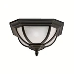 Kichler 9848 2 Light Outdoor Ceiling Fixture - Bronze. Fixed Price $279.99.