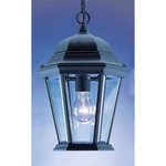 Volume Lighting 1-LIGHT Black Outdoor Pendant, V8222-5. Fixed Price $79.99.