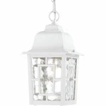 Nuvo 60-4931 11" Outdoor Hanging Light White Finish With Clear Water Glass. Fixed Price $67.99.
