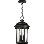 Maxim Lighting 3028CDBZ Dover Dc 10 Inch Bronze Outdoor Hanging Lantern. Fixed Price $193.80.