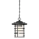 Nuvo Lighting 60/6405 Lansing 11"W Pendant - Black. Fixed Price $259.99.