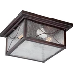 Nuvo Lighting 60/5616 Vega 2 11 Inch Classic Bronze Outdoor Flush Mount. Fixed Price $184.99.