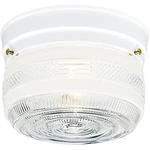 Westinghouse Lighting 6620300 Two-light Ceiling Fixture. Fixed Price $39.78.