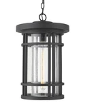 Z-lite 570CHXL Black Jordan 12"W Outdoor Pendant. Fixed Price $742.00.