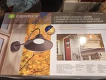 Capstone Dusk Dawn Led Gooseneck Lantern 2000 Lumen Light. Fixed Price $149.90.