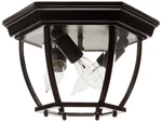 Acclaim 5602BK Flush Mount Collection 3-LIGHT Ceiling Outdoor Fix.... Fixed Price $142.08.