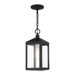 Livex Nyack 1-LT Outdoor Pendant Lantern, Black/nickel Cluster/clear 20591-04. Fixed Price $295.96.