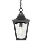 Millennium Lighting 10931 Curry 9"W Outdoor Mini Pendant - Black. Fixed Price $84.44.