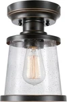 Globe Electric 44301 Charlie 1-LIGHT 9.6", Bronze,. Fixed Price $48.64.