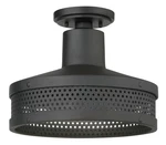 The Great Outdoors 73312 Abalone Point 12"W Dark Sky Semi-flush Sand Coal. Fixed Price $219.00.
