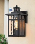 Cattleya 11.75 Black Motion Sensing Dusk To Dawn Outdoor Wall Lantern -single. Fixed Price $35.00.