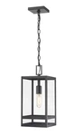 Nuri 1-LIGHT Outdoor Chain Mount Ceiling Fixture Black. Fixed Price $204.00.