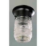 Volume Lighting 1-LIGHT Black Flush Mount Ceiling Fixture, V7316-5. Fixed Price $24.99.