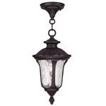 Livex Lighting 7849 Bronze Oxford 1-LIGHT Outdoor Pendant. Fixed Price $119.96.