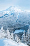 Blue Ridge Mountains Winter Landscape Wall Art Home Decor - Poster 20X30. Fixed Price $23.99.