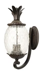 Acclaim Lighting 7511 3 21.75"H Pineapple Outdoor Wall - Black. Fixed Price $240.00.