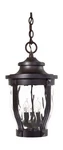 The Great Outdoors 8764-166 Merrimack Chain Hung Lantern, 3-LIGHT, 18.... Fixed Price $324.67.
