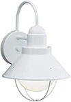 Seaside 12" Outdoor Wall Light With Glass Globe - White Finish. Fixed Price $117.99.