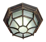 Trans Globe Lighting 40582-RT Benkert Outdoor Ceiling Rust. Fixed Price $57.00.