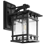 Safavieh Grayter Outdoor Wall Lantern Clear / Black. Fixed Price $76.33.