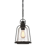 Westinghouse Brynn 1LT Outdoor Pendant, Oil Rubbed Bronze/clear Seeded - 6339900. Fixed Price $99.99.