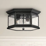 Hinkley Edgewater 13" Wide Black And Glass Outdoor Ceiling Light. Fixed Price $299.00.