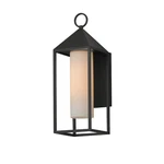 Black One Light Outdoor Wall Sconce From The Aldous Collection. Fixed Price $138.00.