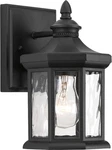 Progress Lighting Edition Collection 1-LIGHT Textured Black Clear Water Lantern. Fixed Price $33.68.