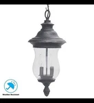 Home Decorators Collection Wesleigh 2-LIGHT Bronze Outdoor Chain Hung Lantern. Fixed Price $55.00.