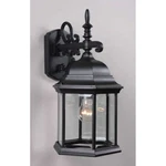 Volume Lighting 1-LIGHT Black Outdoor Wall Sconce, V8120-5. Fixed Price $89.99.