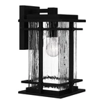 Mcalister Light Outdoor Wall Lantern Transitional STYLE-14 Inches Tall. Fixed Price $339.99.