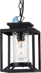 Outdoor Pendant Lights, Dusk To Dawn Modern Porch Chandelier Lantern Wit. Fixed Price $116.99.
