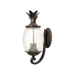 Acclaim Lighting 7511BC Lanai 3 22 Inch Black Coral Exterior Wall Mount. Fixed Price $240.00.