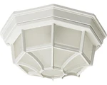 Maxim 1020 Crown Hill 10" Light Outdoor Ceiling. Fixed Price $40.86.