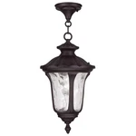 Livex Lighting 7854-07 Oxford 1 9.5 Inch Bronze Outdoor Pendant Lantern. Fixed Price $199.96.