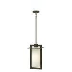 Hinkley Lighting Colfax 1 Outdoor Hanging, Bronze - 2922BZ. Fixed Price $269.99.