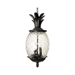 Acclaim Lighting 7516BK Lanai Outdoor Pendant Chandeller Matte Black. Fixed Price $161.00.