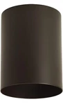Progress Lighting P5774-20 Inch Cylinder One Flush Mount Bronze. Fixed Price $50.89.