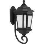 Progress Lighting P6631-MD Crawford 21" Tall Outdoor Wall Sconce Black. Fixed Price $61.16.