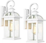 Darkaway 6W1B-2PK White Outdoor Lights Fixtures Wall Mount. Fixed Price $40.00.