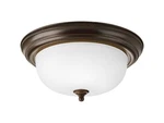 Progress Lighting Dome Glass Etched 2 Flush Mount Ceiling Antique Bronze. Fixed Price $15.99.